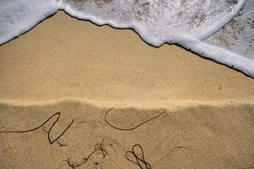 Beach-Dream