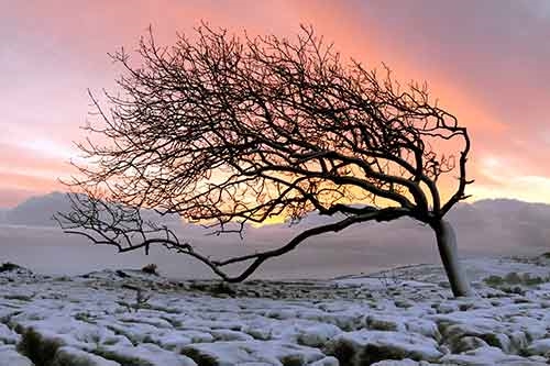 Farleton-Knott